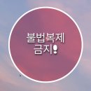 중부-현장-중부-1469 | [스페인] 마드리드 여행 Part (6) 세고비아&amp;톨레도 투어 ① - 알카사르 성.com