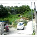 장성목장 이미지