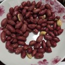 동해시-2 | 2박 3일 동해 놀러간 후기 2탄(feat.오일장)