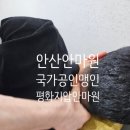 평화지압안마원 | 안산 안마원 월피동 국가공인 맹인 평화지압안마원