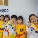 국가대표 경희대 부부 태권도장 이미지