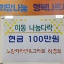 노랑카라반 이미지