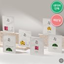 딜바이 이미지