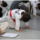 거룡태권도장 이미지