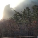 콘체르토음악학원 이미지