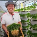 대박농장2 이미지