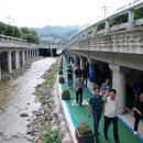 도림천 산책로4 이미지