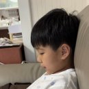 뽀꾸뽀꾸 이미지