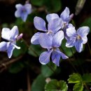 찬우물로 이미지