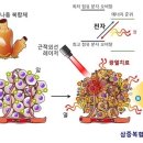 혼돈.망상.망언.세뇌?! '삶?/기적치료?/사후세계?/오미크론?/백신?/암세포?/뇌세포?/윤회?/인생사.관심사.세계사-NO,本無.眞理 이미지