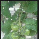 김재민농장 이미지