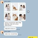 분당 고양이 사진관 스튜디오 천천히 고양이 가족사진 후기