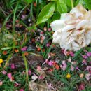 블루마린민박 이미지