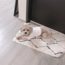 모링모링 이미지