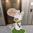 [전시] 히조 개인전 《Love, in Green》 관람 후기