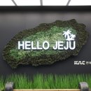 이미애피부과의원 | [25.03.31.] 제주 이미애 피부과 방문 후기