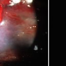 탑(TOP)메디칼 이미지