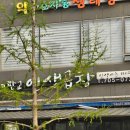판교인생 | 판교 인생곱창 솔직후기 | 판교역 맛집 내돈내산