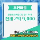 롯데부동산중개사무소 | 포레나1번지부동산중개사무소 천안롯데캐슬더두정 24층 전세 2억 9,000