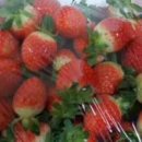 산청군농협단성지점 이미지