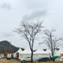 완주감생산자협동조합