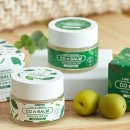 데이셀코스메틱 이미지