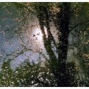 나의 사계 이미지