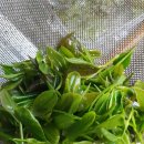 상혁농장 이미지