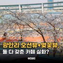 상서재2호 수변공원 맞은편 | 부산 광안리 오션뷰 카페 벚꽃 뷰 좋은 E-COFFEE (이커피)