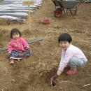 동안농장 이미지