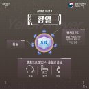 플라비