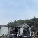 하춘화 보리밥