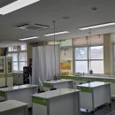 왕산초등학교 Daum카페