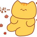 컴리케이크하우스