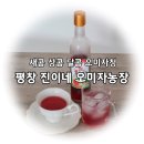 평창진이네오미자농장 이미지