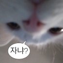 천안오성초등학교 | 천안 두정동 브라질리언 왁싱 추천 후기 : 아키왁싱 천안본점