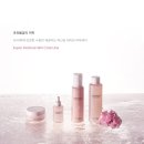 주식회사 퍼팩트(1종) | 피부과, 성형외과 화장품-S2코스메디컬 세트 3종