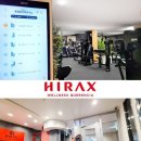 하이랙스 이미지