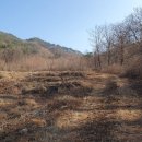 원불교유성교당 버스정류장 | 시루봉산(469m)월출산(756m) 천상봉[2](785m) 천상봉(823m) 누루목봉(686m) / 경북 김천