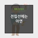 주식회사 메디웰 이미지