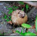 큐유이 이미지