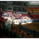 청도소싸움경기장 이미지