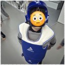 옥길버들초 이미지