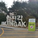 파주 나비나라박물관 이미지