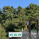 루프탑287 | 통영 용남면 루프탑 카페 바다담