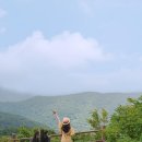 산불 피해 지역 여행하고 지원금도 받자! 경상도 힐링 여행지 추천 4 이미지