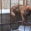 계정농장 이미지