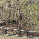 의신 베어빌리지 이미지