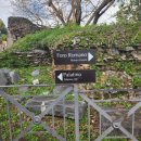 가능포로 | 로마 콜로세움 입장권 예약방법 및 포로로마노 방문 후기 투어 정보