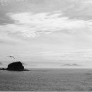 서해바다 이미지